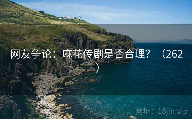 网友争论：麻花传剧是否合理？（262 ）
