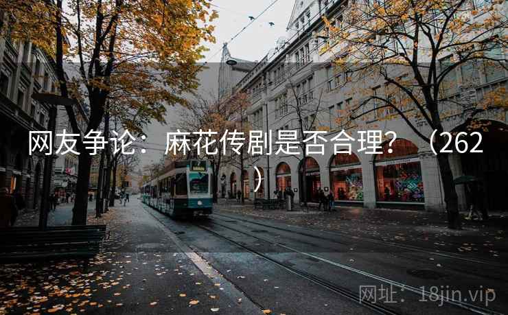 网友争论：麻花传剧是否合理？（262 ）