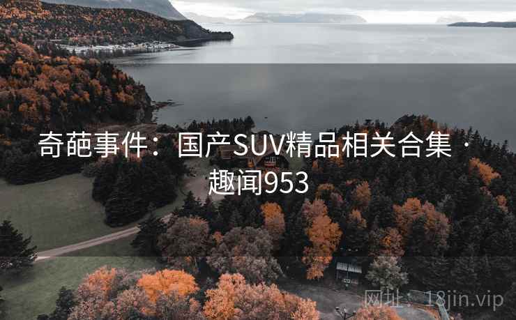 奇葩事件：国产SUV精品相关合集 · 趣闻953